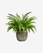 Solid Wood Plant Stand for Indoor Pot Display
