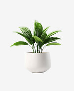 Solid Wood Plant Stand for Indoor Pot Display
