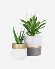 Solid Wood Plant Stand for Indoor Pot Display
