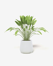 Mini Ceramic Flower Pot for Desk and Home Decor